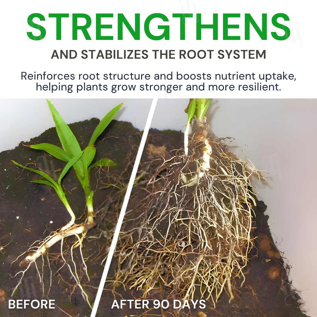 🌟 Official Store | AEXZR® Max-Power Fulvic Acids Fertilizer Sticks