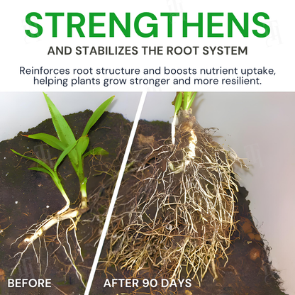 🌟 Official Store | AEXZR® Max-Power Fulvic Acids Fertilizer Sticks