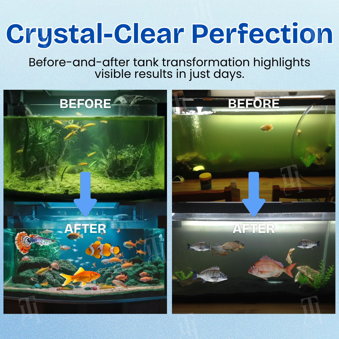 🔥The FDA-Approved Solution🌟 Official Store | AEXZR® Aquariums Aqua-Guardian Blend