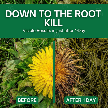 🌟 Official Store |AEXZR® 3 in 1 Max Power Herbicide