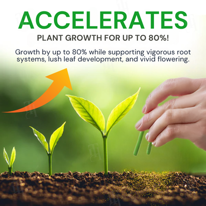 🌟 Official Store | AEXZR® Max-Power Fulvic Acids Fertilizer Sticks