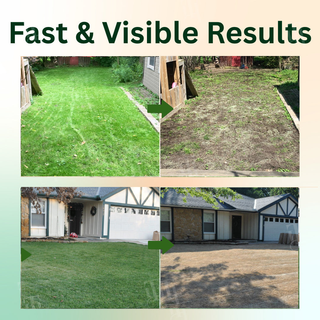 🌟 Official Store | AEXZR® 2 in 1 Max Power Herbicide