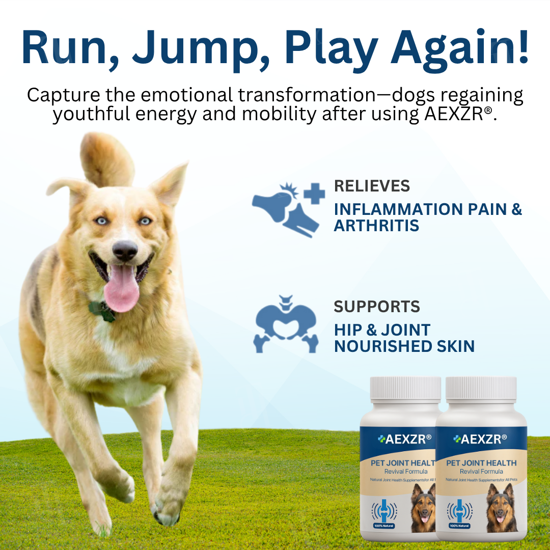 ⏱️ 7 days Fast Results 🌟 Official Store | AEXZR® Pet Joint Health Revival Formula