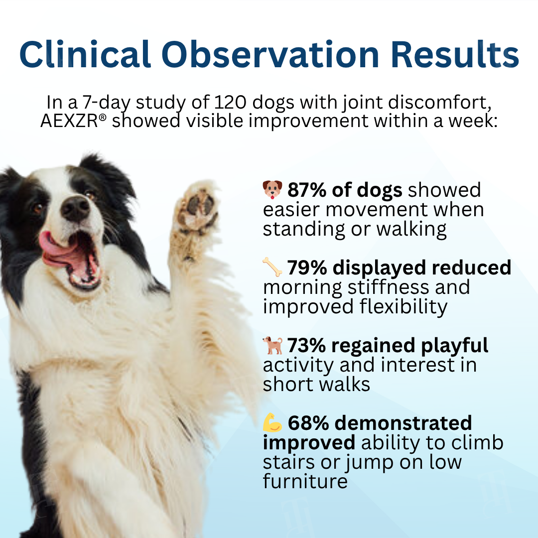 ⏱️ 7 days Fast Results 🌟 Official Store | AEXZR® Pet Joint Health Revival Formula
