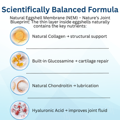 ⏱️ 7 days Fast Results 🌟 Official Store | AEXZR® Pet Joint Health Revival Formula