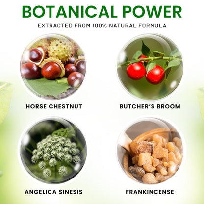 🌟 Official Store |AEXZR® FluidEase Leg Therapy Cream