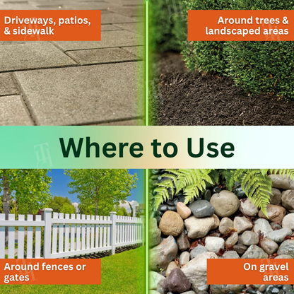 🌟 Official Store | AEXZR® 2 in 1 Max Power Herbicide