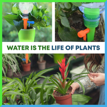 AEXZR®  Plant Self Watering Spikes