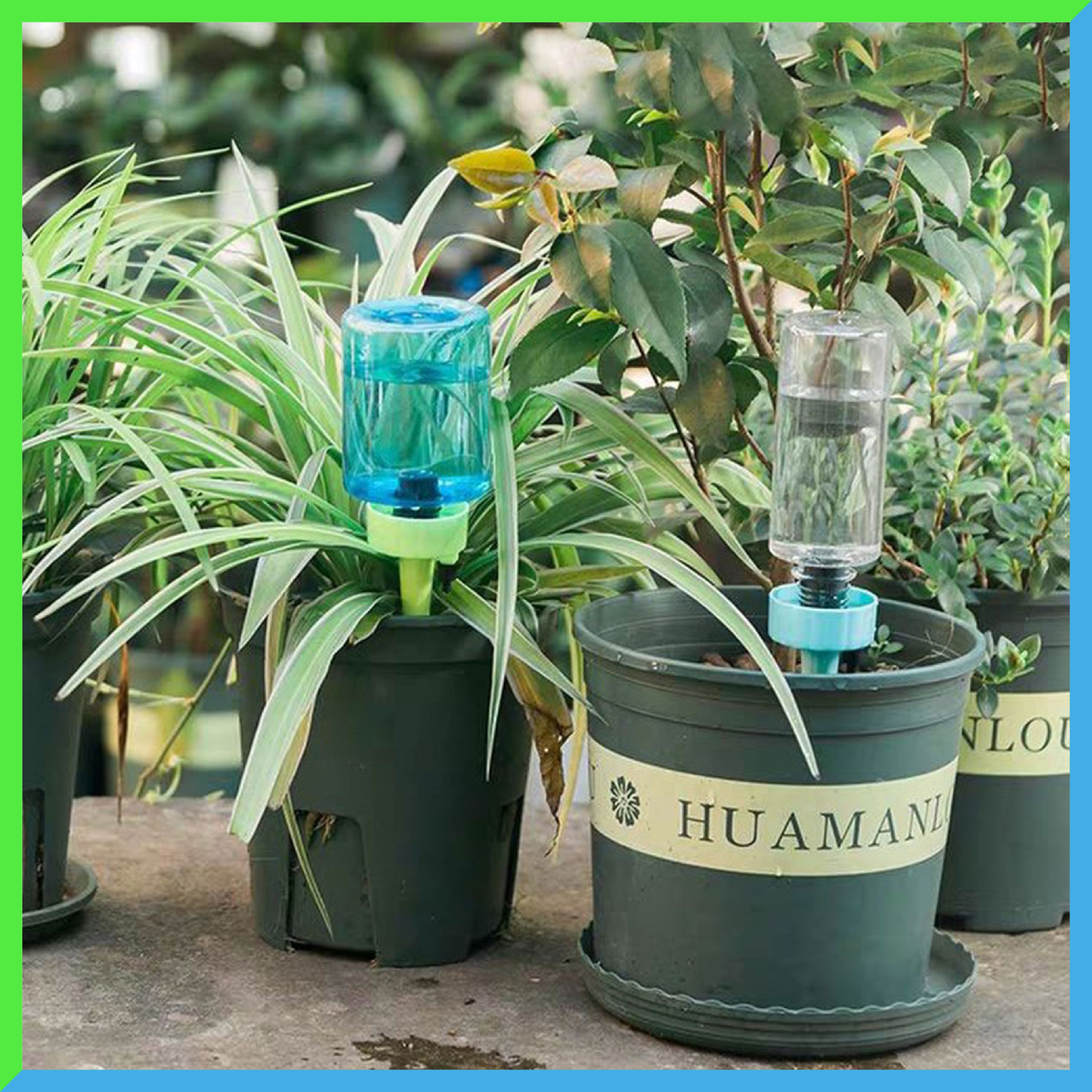 AEXZR®  Plant Self Watering Spikes