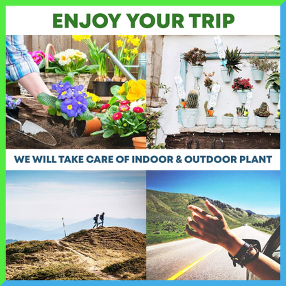 AEXZR®  Plant Self Watering Spikes