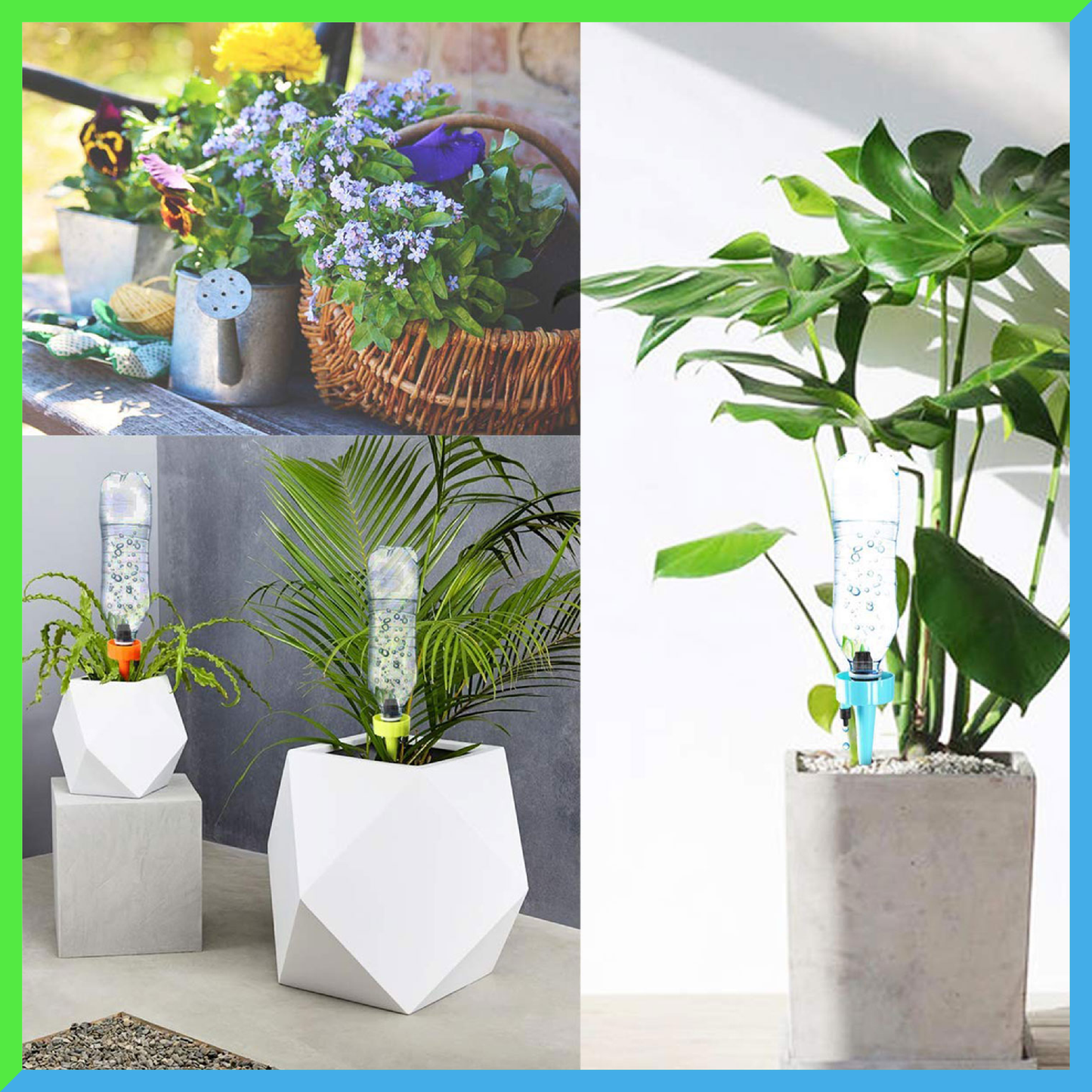 AEXZR®  Plant Self Watering Spikes