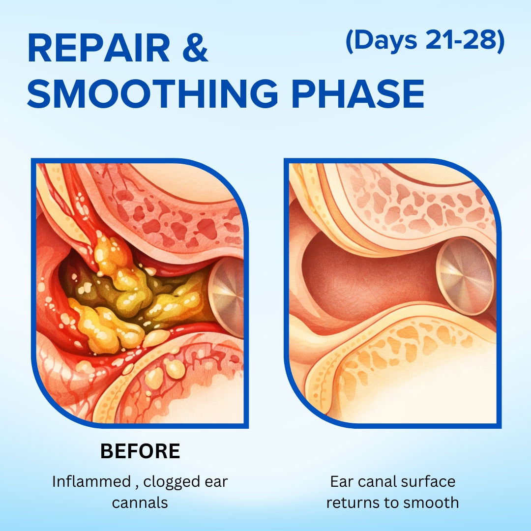 AEXZR® Squalane Earclean Drops