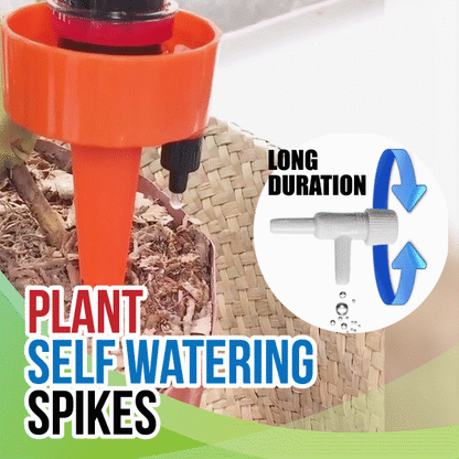 AEXZR®  Plant Self Watering Spikes